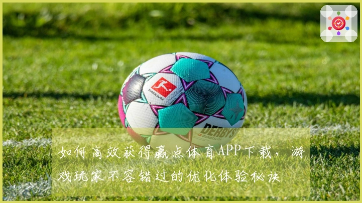 如何高效获得赢点体育APP下载，游戏玩家不容错过的优化体验秘诀