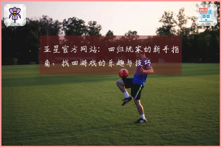 亚星官方网站：回归玩家的新手指南，找回游戏的乐趣与技巧